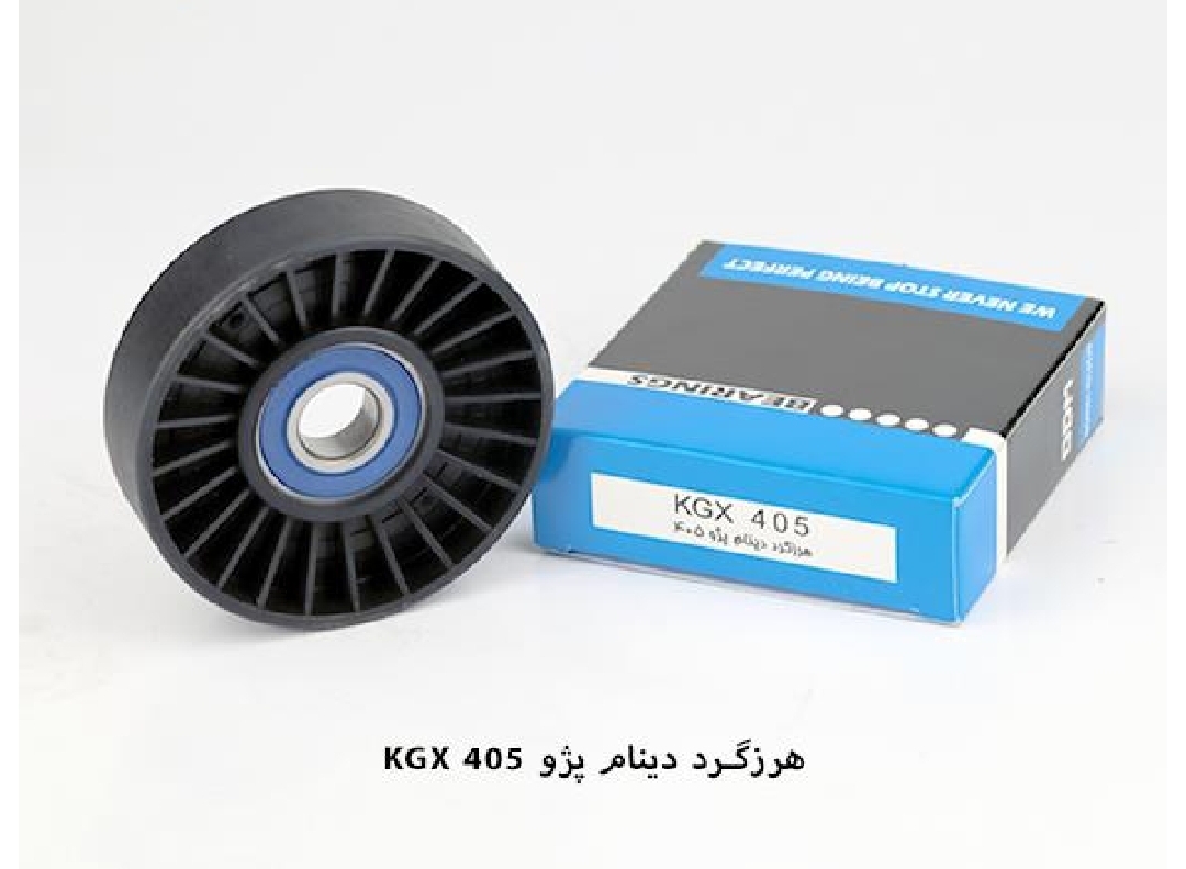 هرزه گرد دینام پژو ۴۰۵ / کد ODM / KGX405