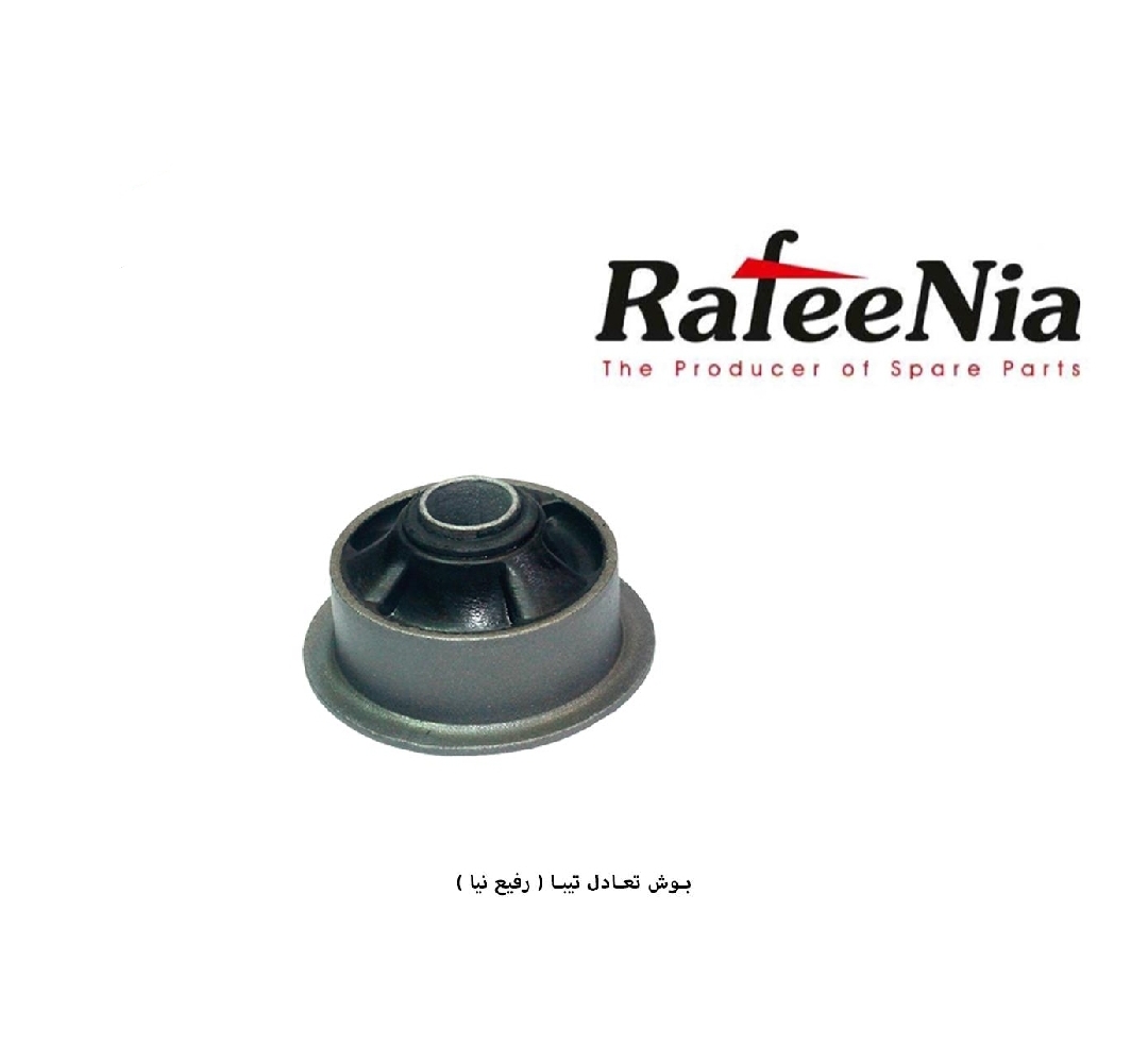 بوش تعادل تیبا / رفیع نیا